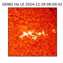 gong - 2024-12-28T06:00:42