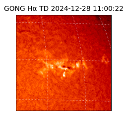gong - 2024-12-28T11:00:22