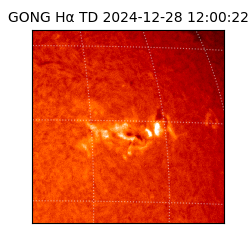 gong - 2024-12-28T12:00:22