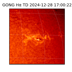 gong - 2024-12-28T17:00:22