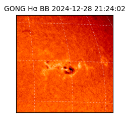 gong - 2024-12-28T21:24:02