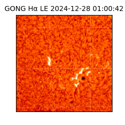 gong - 2024-12-28T01:00:42