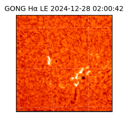 gong - 2024-12-28T02:00:42