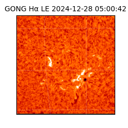 gong - 2024-12-28T05:00:42