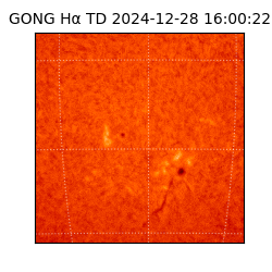 gong - 2024-12-28T16:00:22
