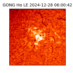 gong - 2024-12-28T06:00:42