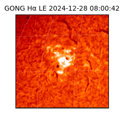 gong - 2024-12-28T08:00:42