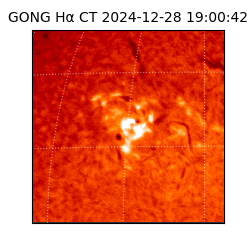 gong - 2024-12-28T19:00:42