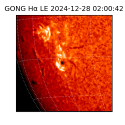 gong - 2024-12-28T02:00:42