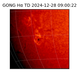 gong - 2024-12-28T09:00:22