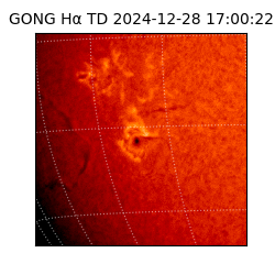 gong - 2024-12-28T17:00:22