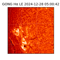 gong - 2024-12-28T05:00:42