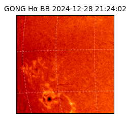 gong - 2024-12-28T21:24:02