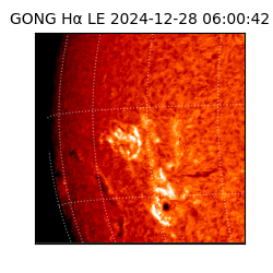 gong - 2024-12-28T06:00:42