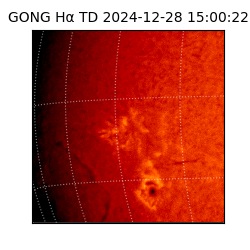 gong - 2024-12-28T15:00:22