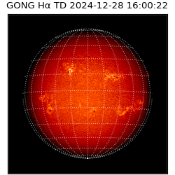 gong - 2024-12-28T16:00:22