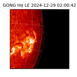 gong - 2024-12-29T02:00:42