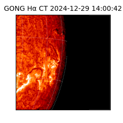 gong - 2024-12-29T14:00:42