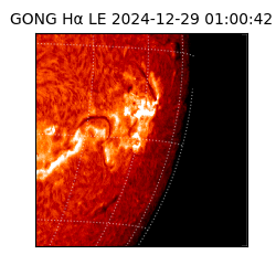 gong - 2024-12-29T01:00:42