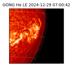gong - 2024-12-29T07:00:42