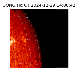 gong - 2024-12-29T14:00:42