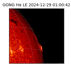 gong - 2024-12-29T01:00:42