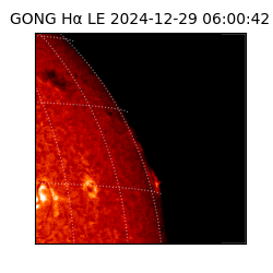 gong - 2024-12-29T06:00:42