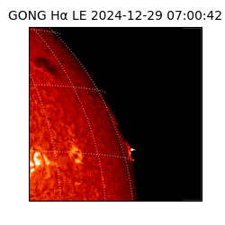 gong - 2024-12-29T07:00:42