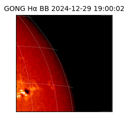 gong - 2024-12-29T19:00:02