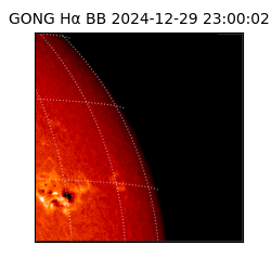 gong - 2024-12-29T23:00:02