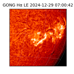 gong - 2024-12-29T07:00:42