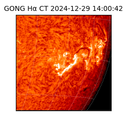 gong - 2024-12-29T14:00:42