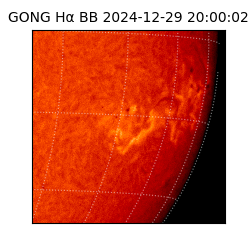 gong - 2024-12-29T20:00:02