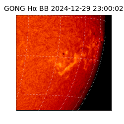 gong - 2024-12-29T23:00:02