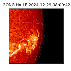 gong - 2024-12-29T08:00:42
