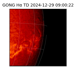 gong - 2024-12-29T09:00:22