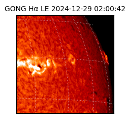 gong - 2024-12-29T02:00:42