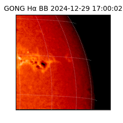gong - 2024-12-29T17:00:02