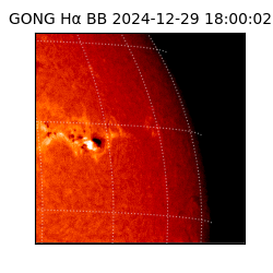 gong - 2024-12-29T18:00:02