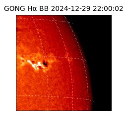 gong - 2024-12-29T22:00:02