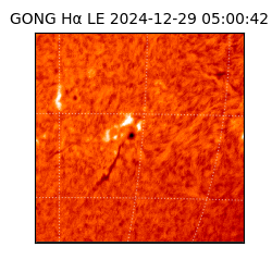 gong - 2024-12-29T05:00:42