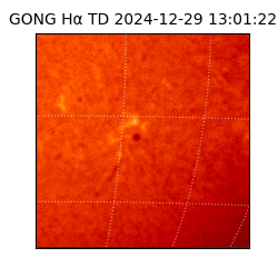 gong - 2024-12-29T13:01:22