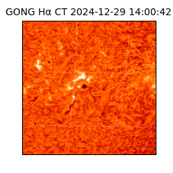 gong - 2024-12-29T14:00:42