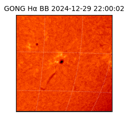 gong - 2024-12-29T22:00:02