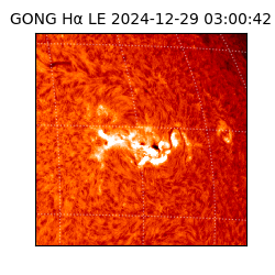 gong - 2024-12-29T03:00:42