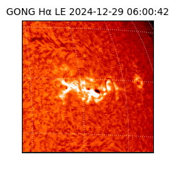 gong - 2024-12-29T06:00:42