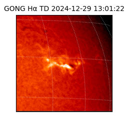 gong - 2024-12-29T13:01:22