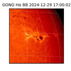 gong - 2024-12-29T17:00:02