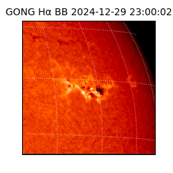 gong - 2024-12-29T23:00:02