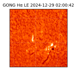 gong - 2024-12-29T02:00:42